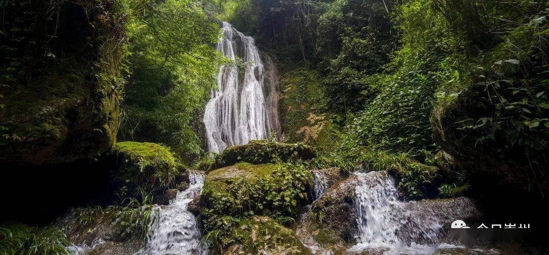 李家岩水库工程最新进展来了!_崇州_枇杷_建设