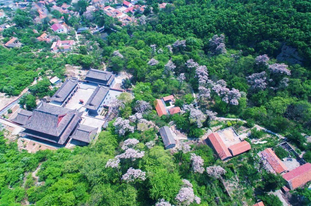 美翻了我的村99 | 江苏省连云港市连云区黄窝村:"黄沙窝"变成"黄金