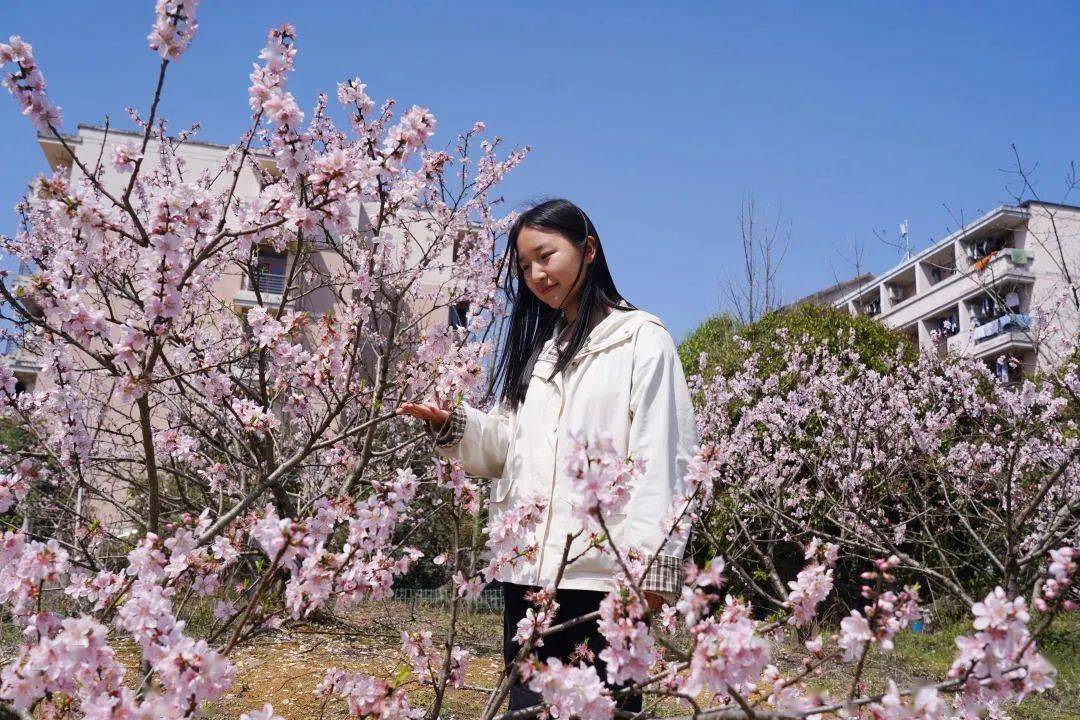 浙农林大的校花校草遇见了充满诗意的春天~_微风_冬日_芳香
