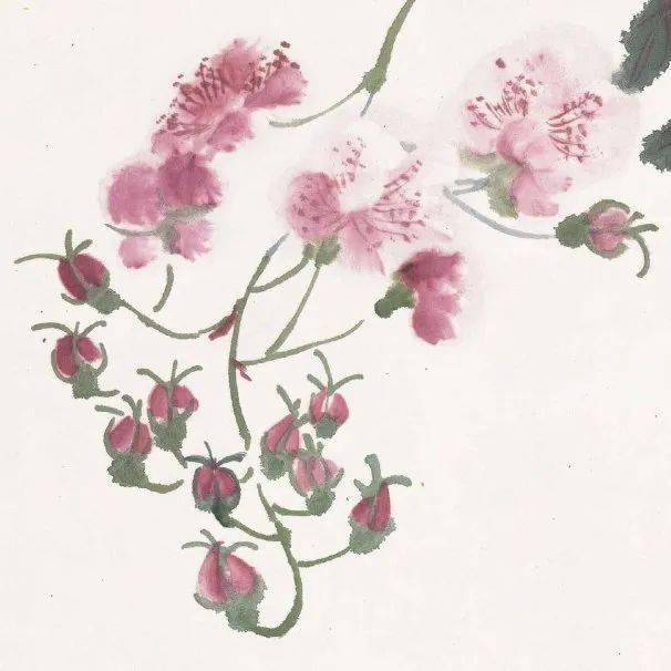 潘天寿：黄宾虹的花鸟，有水流花放之妙_cm_浙江省博物馆_花卉