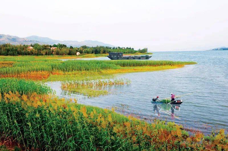 【扩散】春已至,花已开,让我们一起跟着旅发大会游蒙阴!