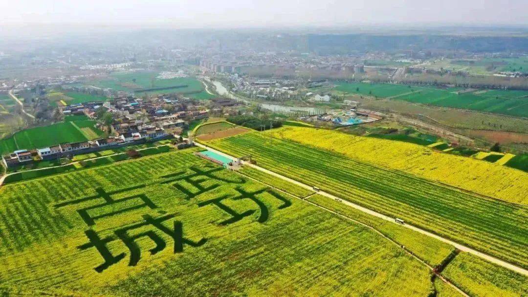 姜嫄水乡图片门票图片