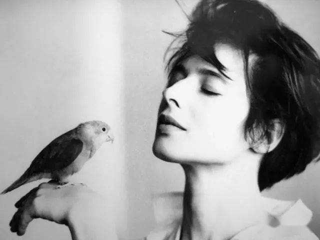 66岁的她依旧散发着最耀眼的光芒 越活越迷人_伊莎贝拉_兰蔻_因为