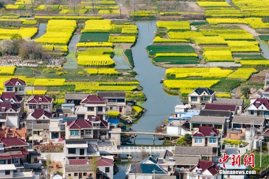 江苏兴化乡村垛田景色旖旎蔚为壮观_中新社_泱波_环水