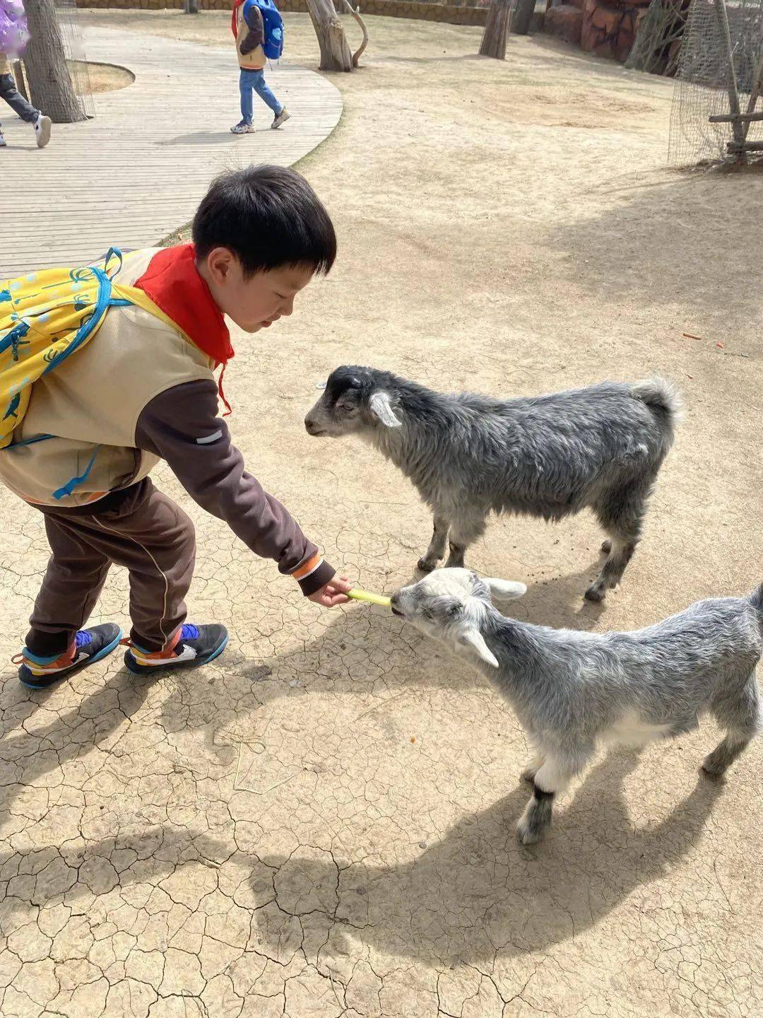 附海量照片看看有没有你家孩子