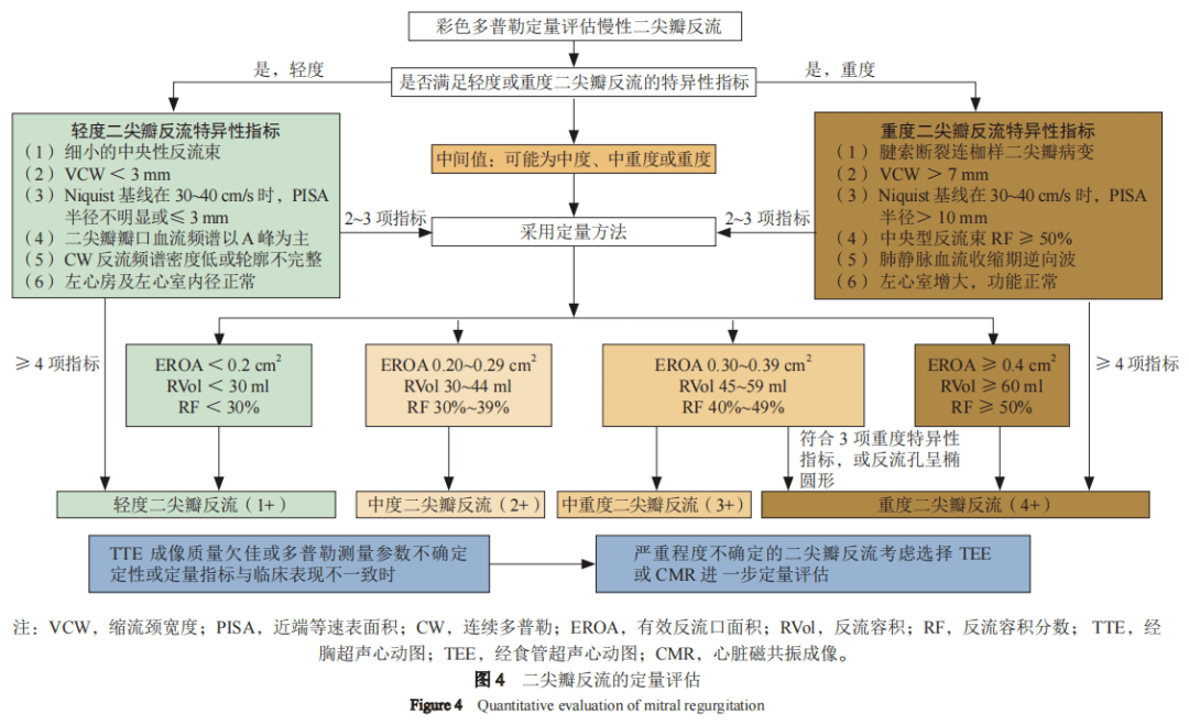 专家共识丨中国经导管二尖瓣缘对缘修复术临床途径（2022版）精简版