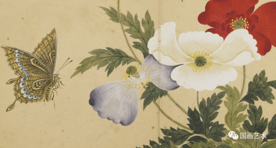 邹一桂  花鳥 清代官吏花鸟大家邹一桂作品欣赏