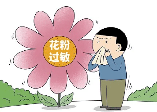 花粉过敏高发