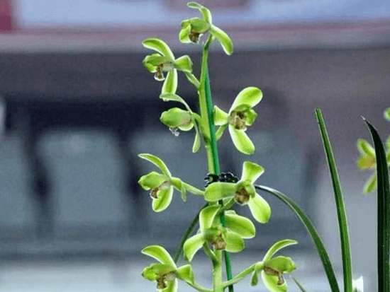 һ������ ��Ʒʱ�⣡�������Լ�ڡ�����͡����