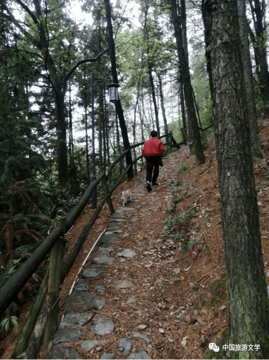 行走丨登上炮台山