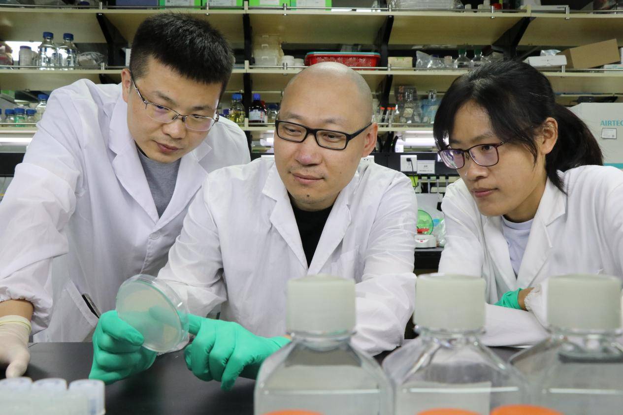 深圳先进院刘陈立研究员荣获"安捷伦思想领袖奖"_合成_生物学_技术