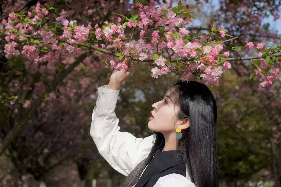 桃花和美女图片油菜花图片