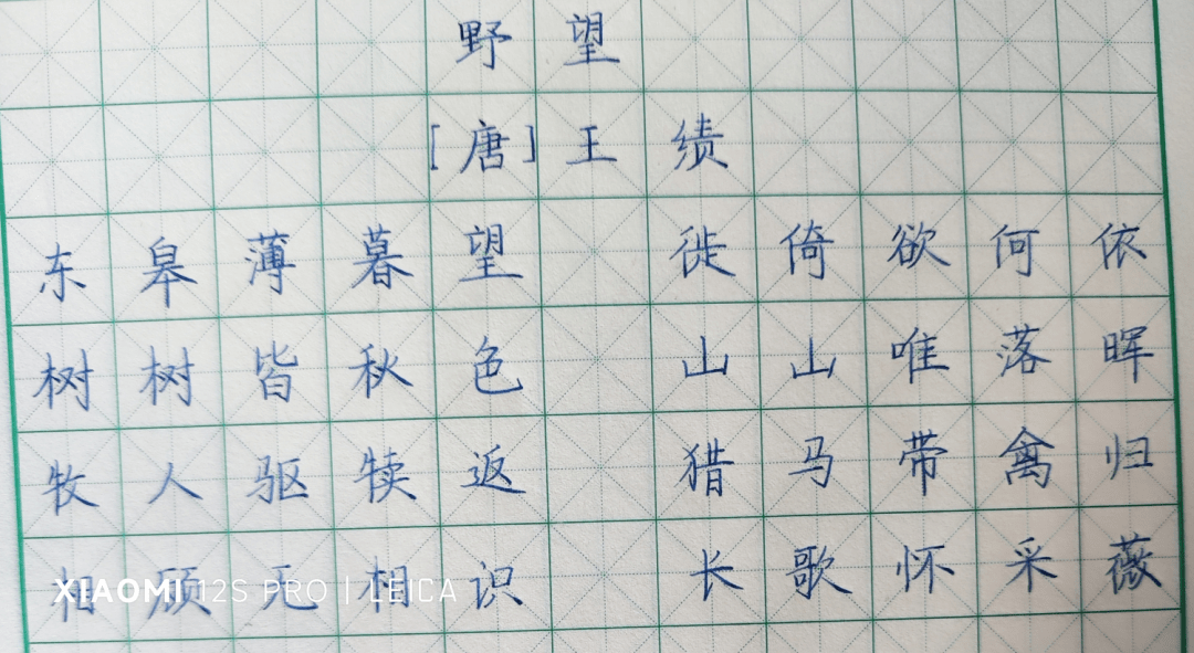 第七十二期钢笔字打卡作品等你来评!