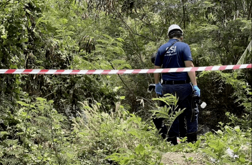 中国女留学生在泰遇害，三名嫌犯已被武汉警方拘捕