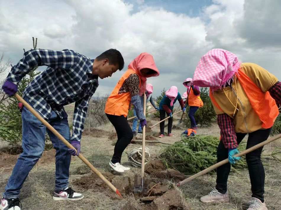 人报甘头条 | 那个春天，张家川县植树166万多株