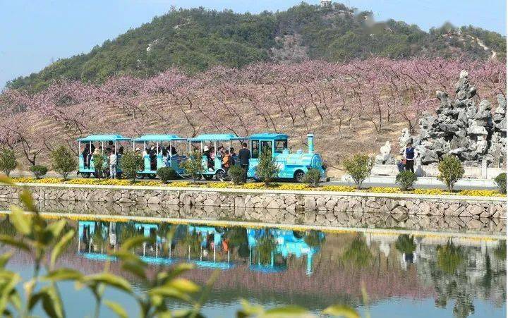 花园村天香湾赏花正当时!_景区_浙江省_旅游