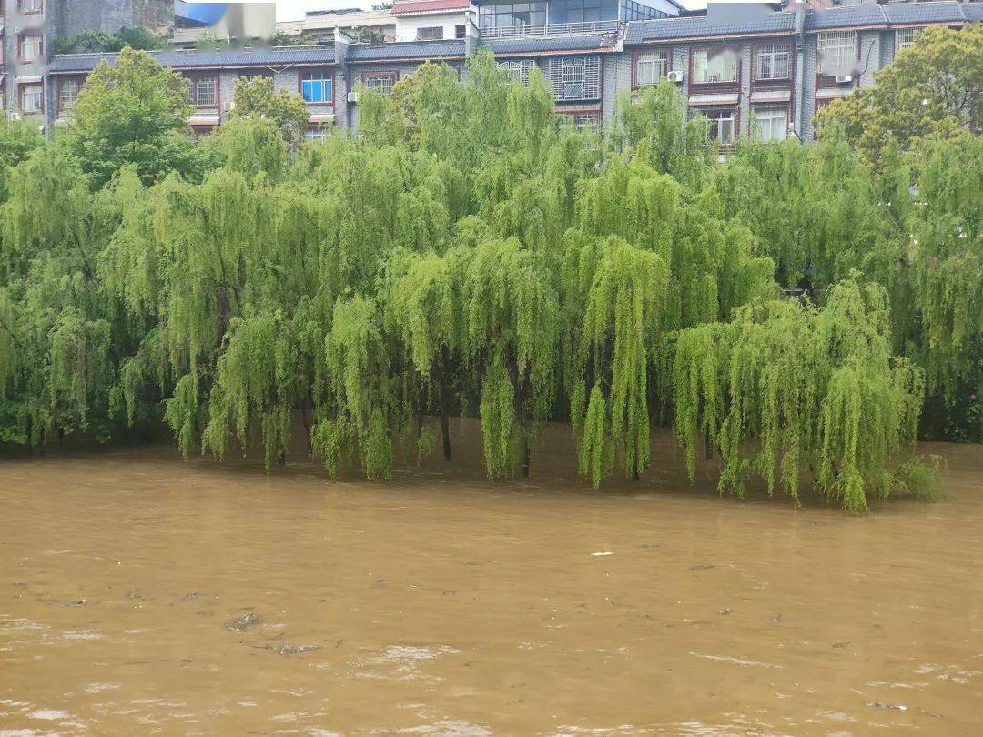 灌阳突降暴雨!灌江水位上涨淹没道路._洪水_天气_地方