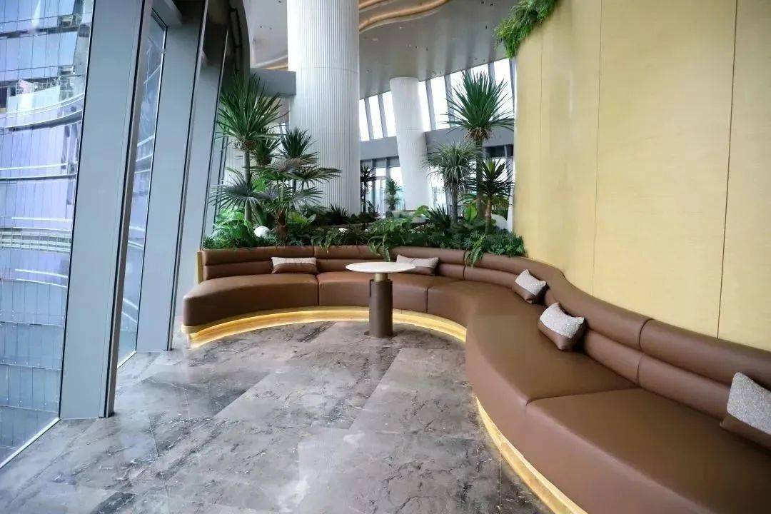 广州新增一个「空中图书馆」!可以预约了!_南沙_文化_花城