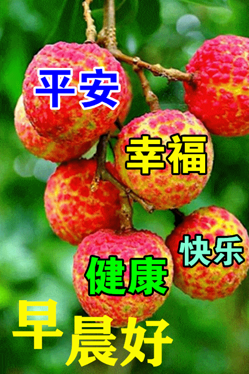 最漂亮早上好动态表情图片大全，早晨好动图美图大全