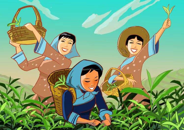 平塘县_茶园_茶树