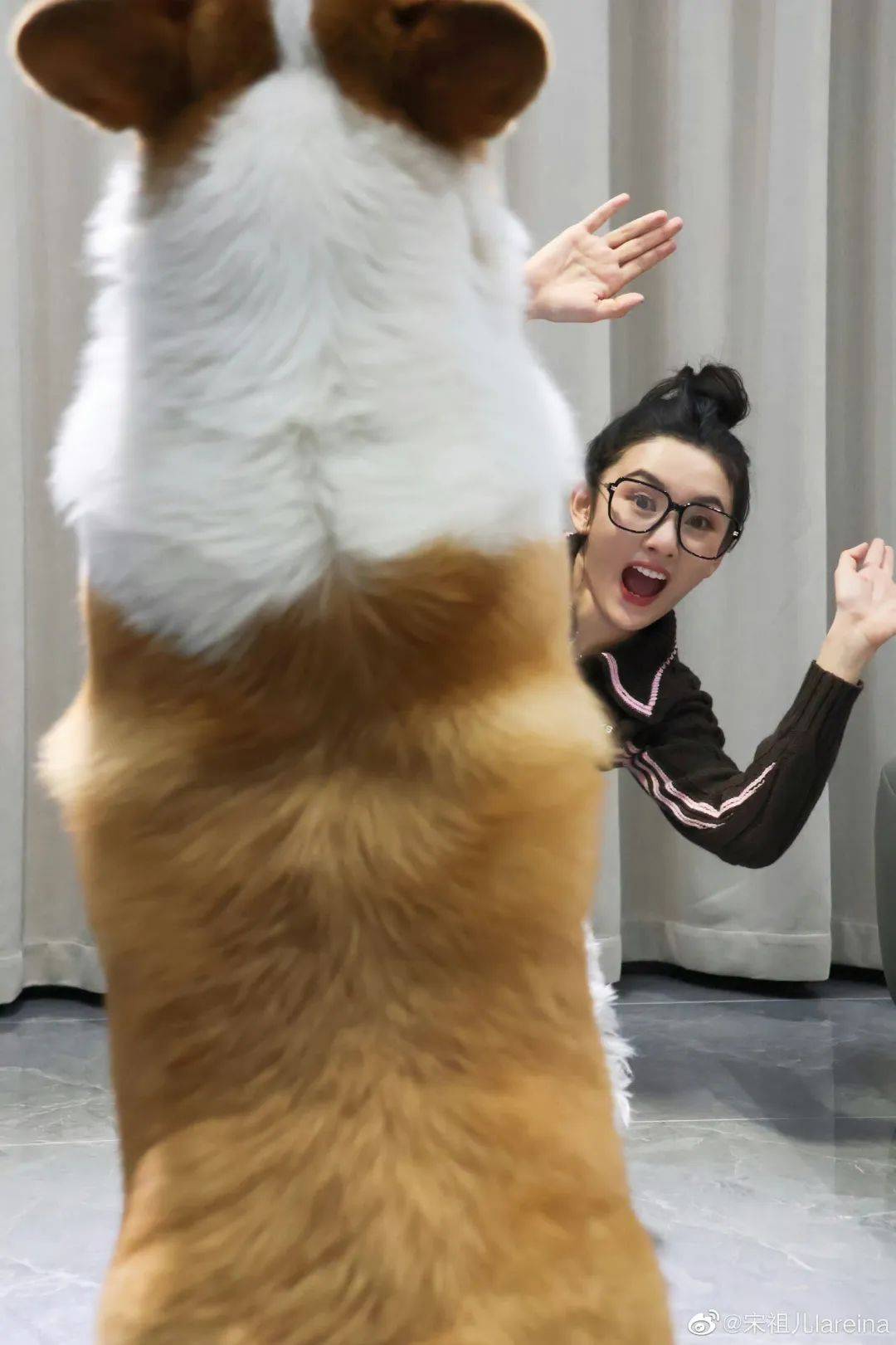 �μѣ�����֪�����ǰ���ʲô