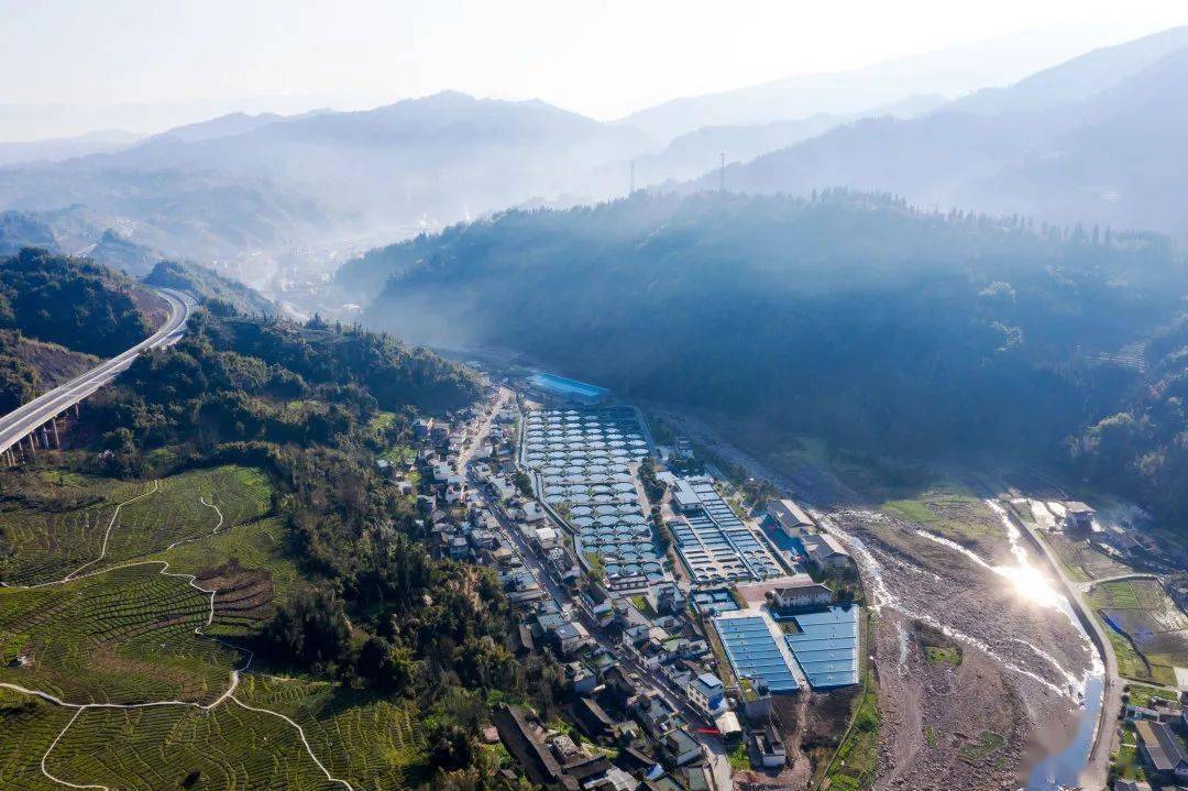 天全县:"四个强化"精准发力 园区建设成效突出_发展_工作_生产