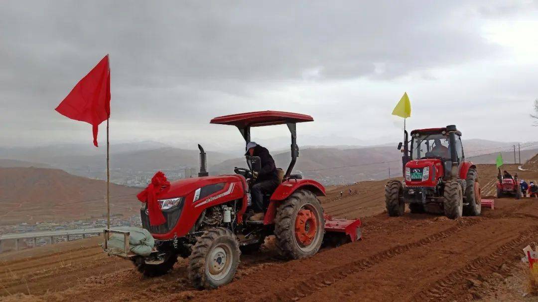 临潭县城关镇举行万亩蚕豆标准化种植基地开播仪式_指导_建设_农业