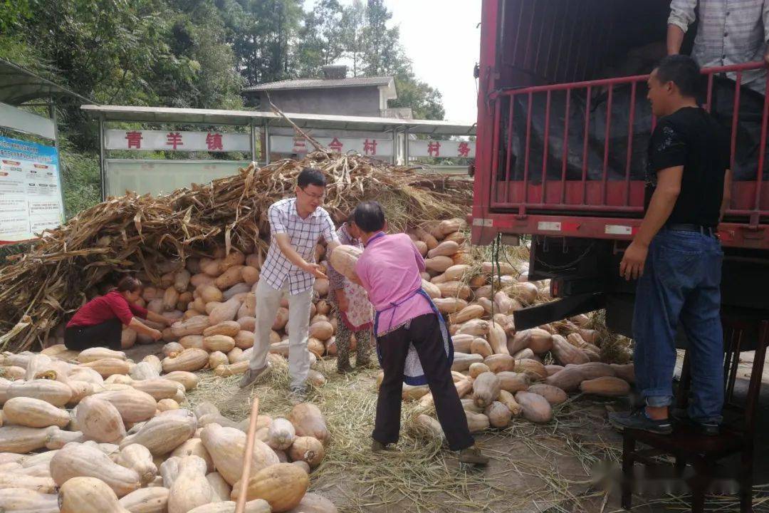 青羊鎮,隸屬於重慶市涪陵區,地處涪陵區西南部,東與馬武鎮接壤,南與