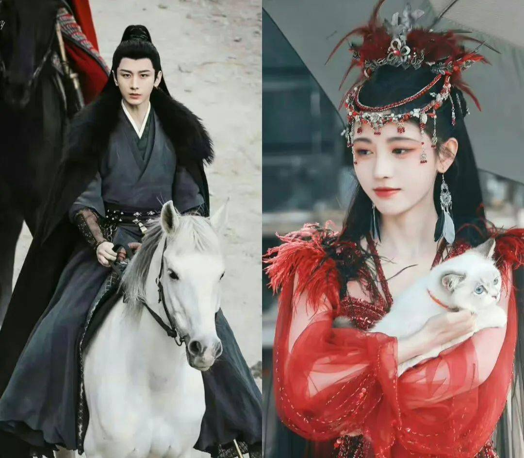 成毅合作鞠婧祎?陈翔接地气人设洗白?归国男星谄媚富婆?