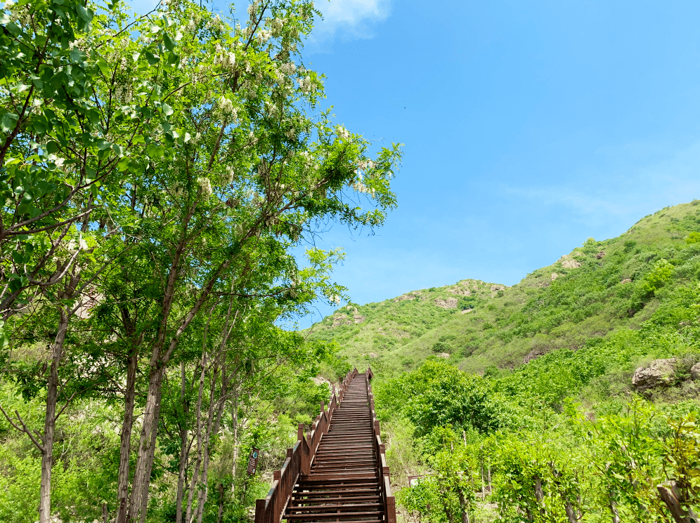 春暖花開·相約秦皇島,四大類20餘項春季旅遊文化活動邀您共赴春日