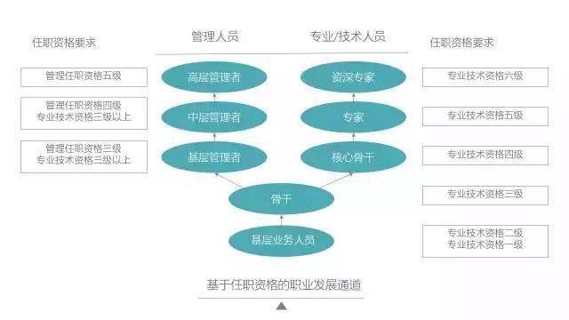 2构建职业发展通道