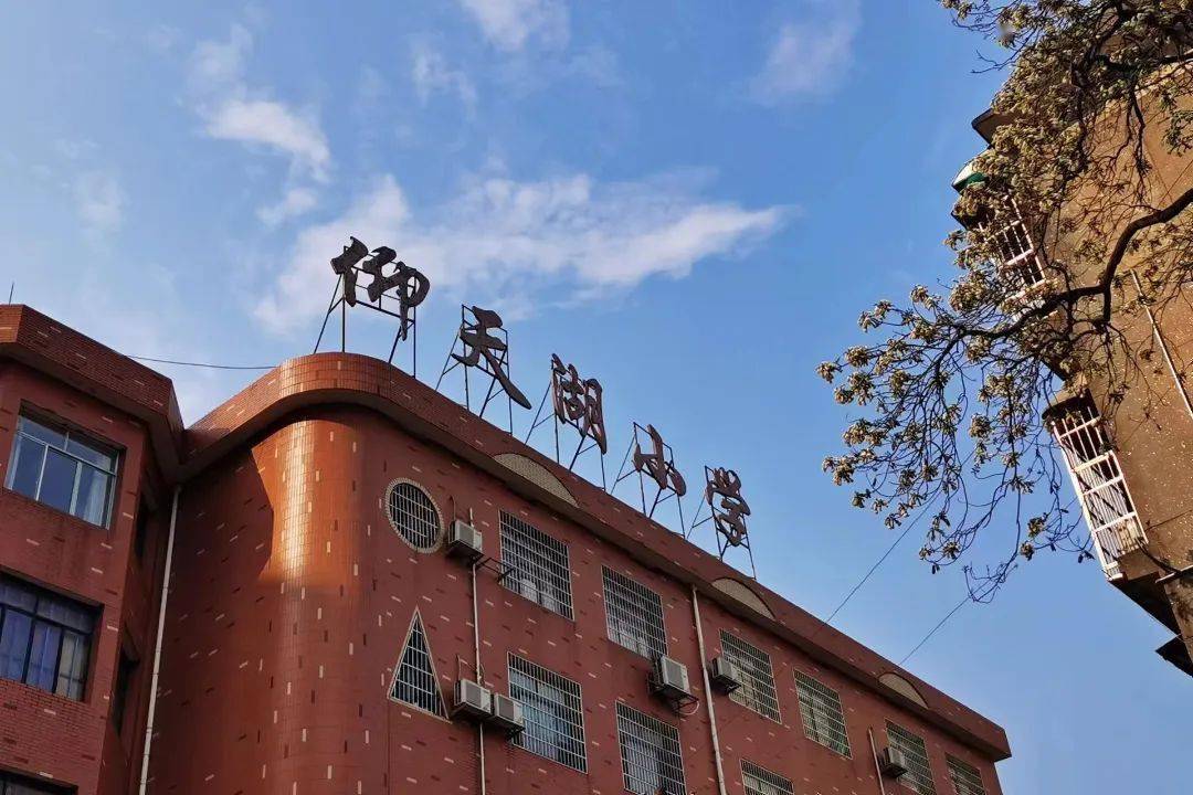 4月3日,数学科组一行来到长沙天心区仰天湖小学进行观摩学习,校园绿树