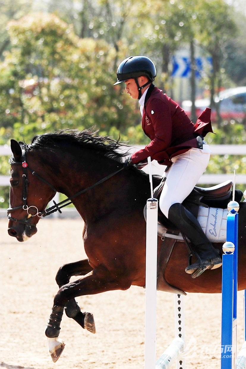 直击马术骑手"国考"关于马术运动你了解多少 | 组图_马匹_考核_身体