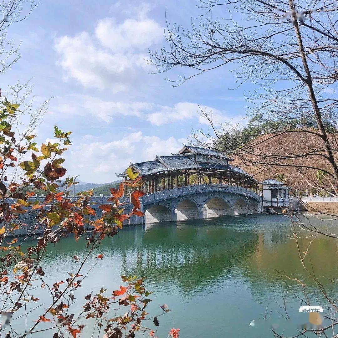 特价来袭!￥158元/人起,武平梁野山纯玩一日游!_瀑布_行程_生肖