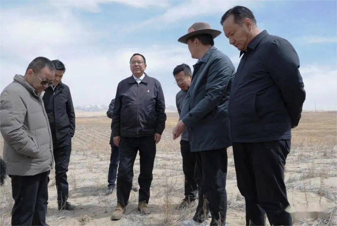 夏吾杰调研2023年海晏地区国土绿化准备工作_宝山_义务_生态