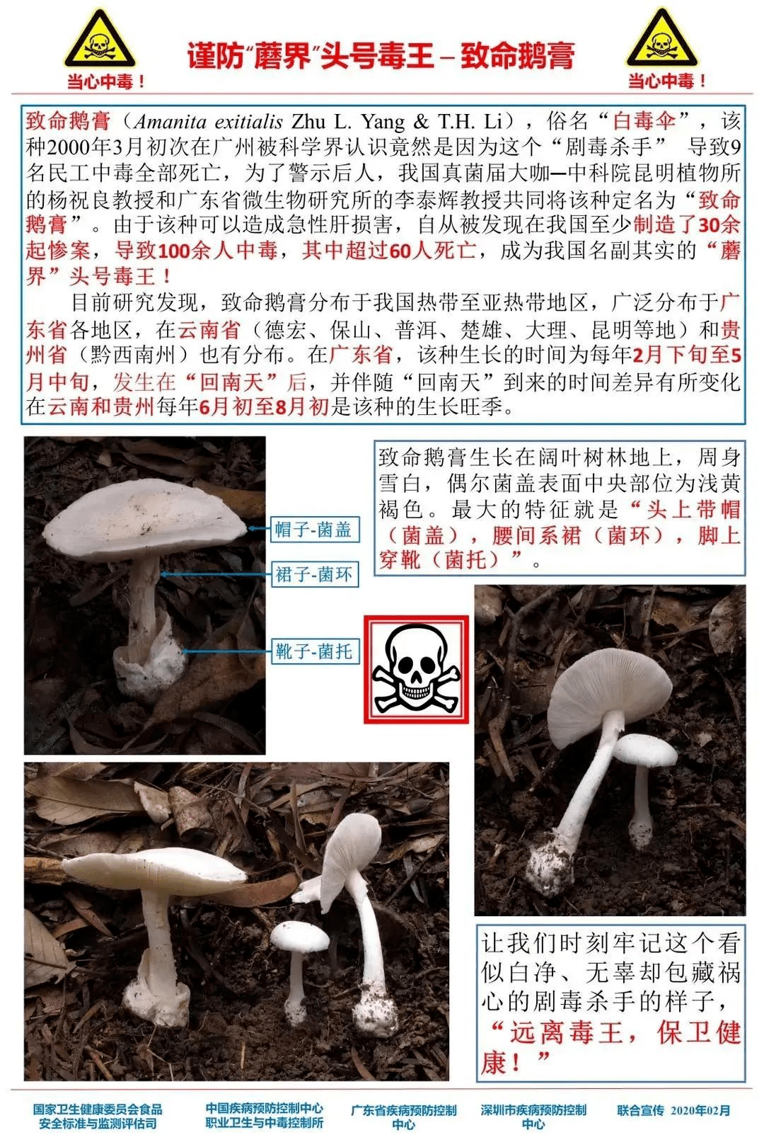 告急提醒！​龙岗发现那种“致命毒物”！