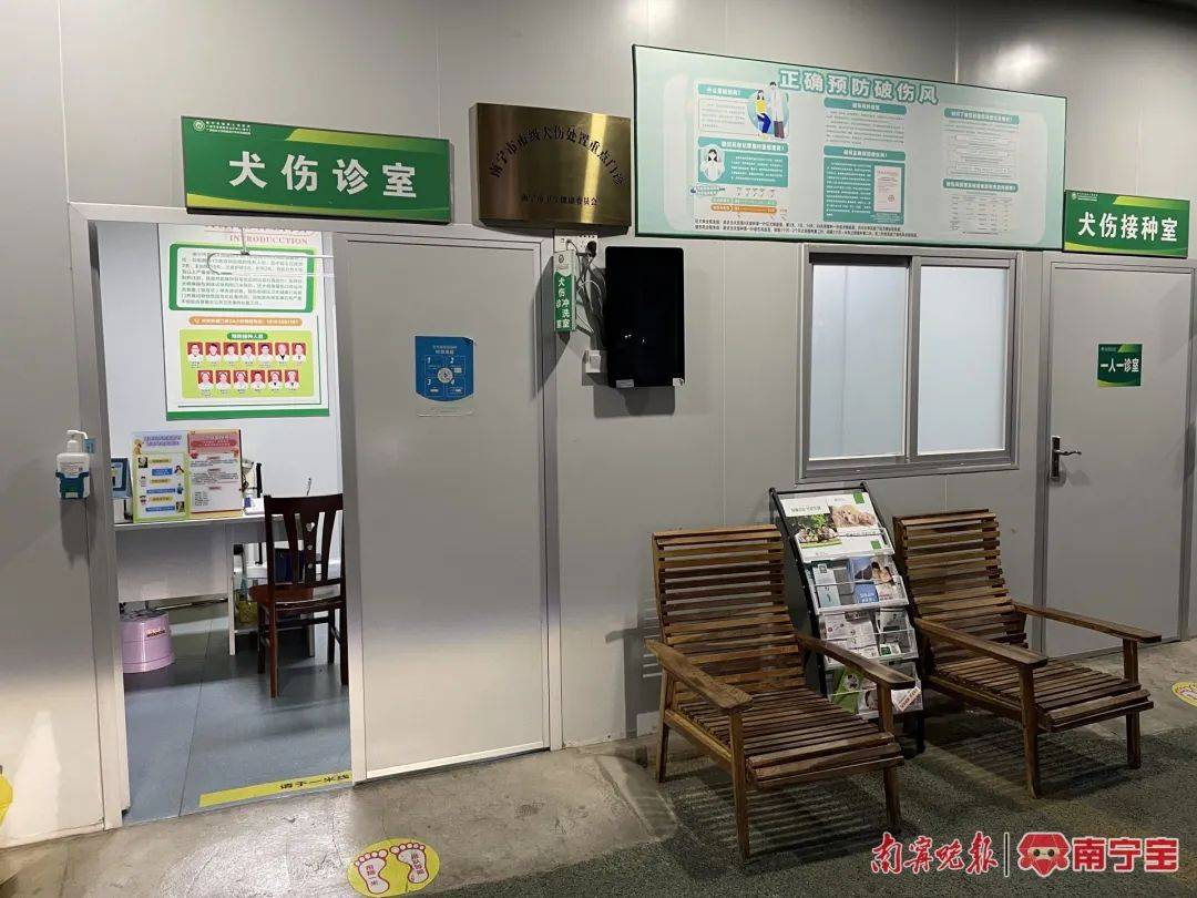 孩子不慎被狗抓伤,小狗当晚死亡……医生紧急提醒!_伤口_处理_第四人民医院