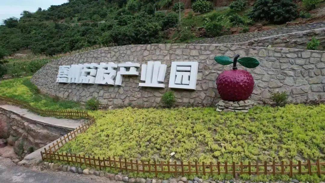 "项"前冲 | 悦来镇:串珠成链开启"近者悦远者来"新篇章_旅游_荔枝