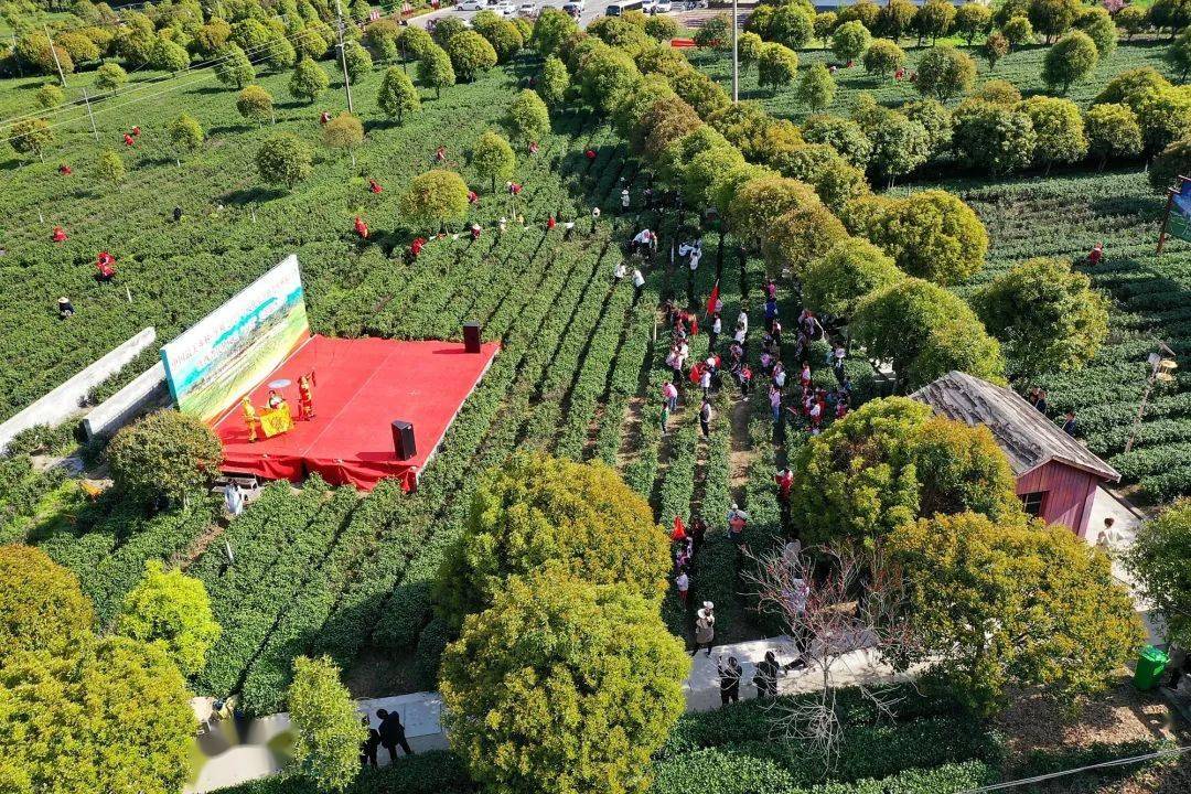 陕西民协文艺"六进"志愿服务活动走进安康平利龙头村_文化_表演_人民