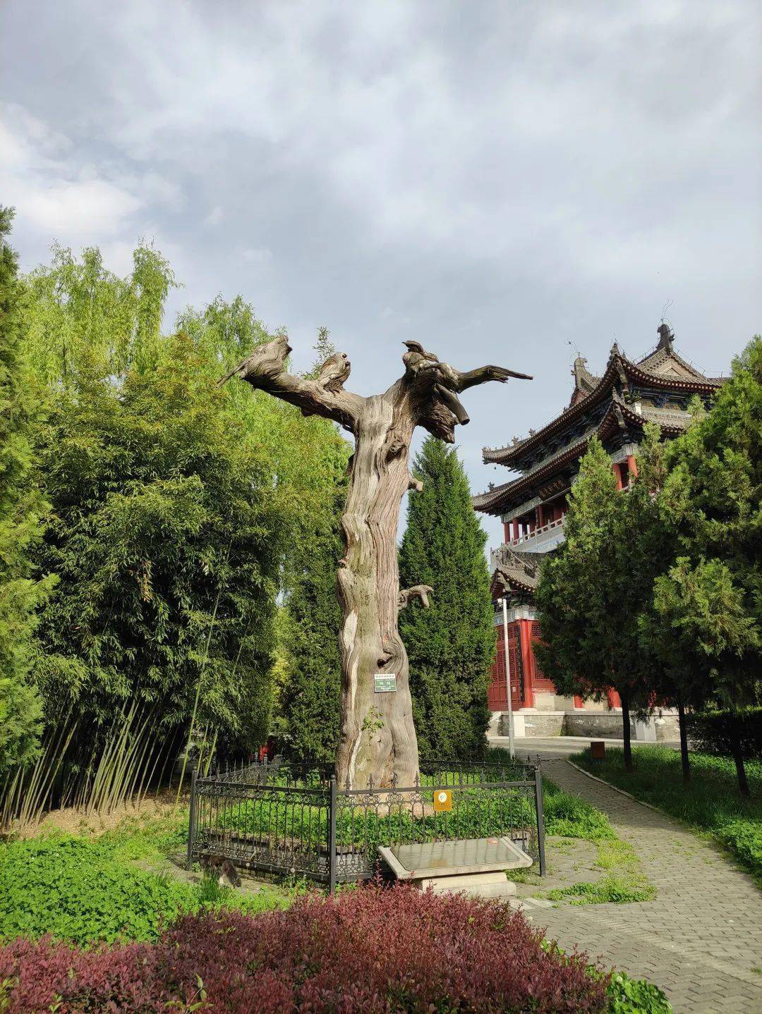 《道德经》在终南山古楼观历史文化景区感受时光的力量和历史的韵味"