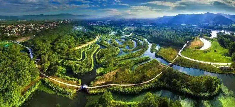 长寿之乡浙江丽水:在九龙湿地,我很慢_萤火虫_公园_导游