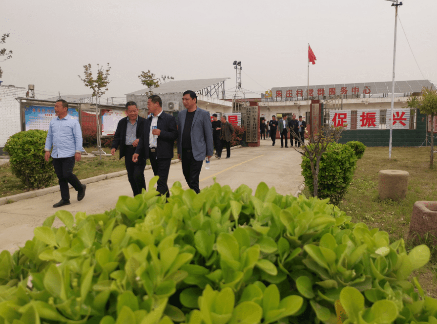 禹州市方岗镇:"五星"亮不亮 摆开比一比