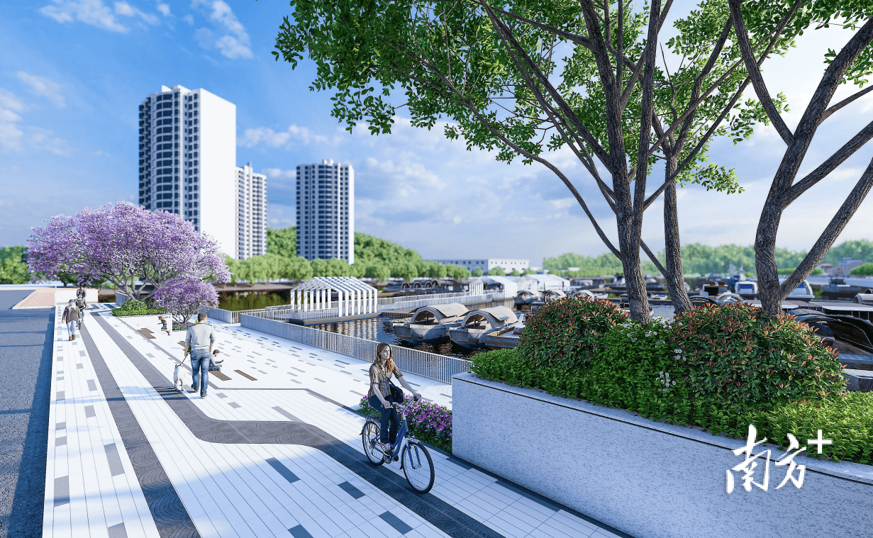 虎门新湾渔港将大变样_改造_码头_社区