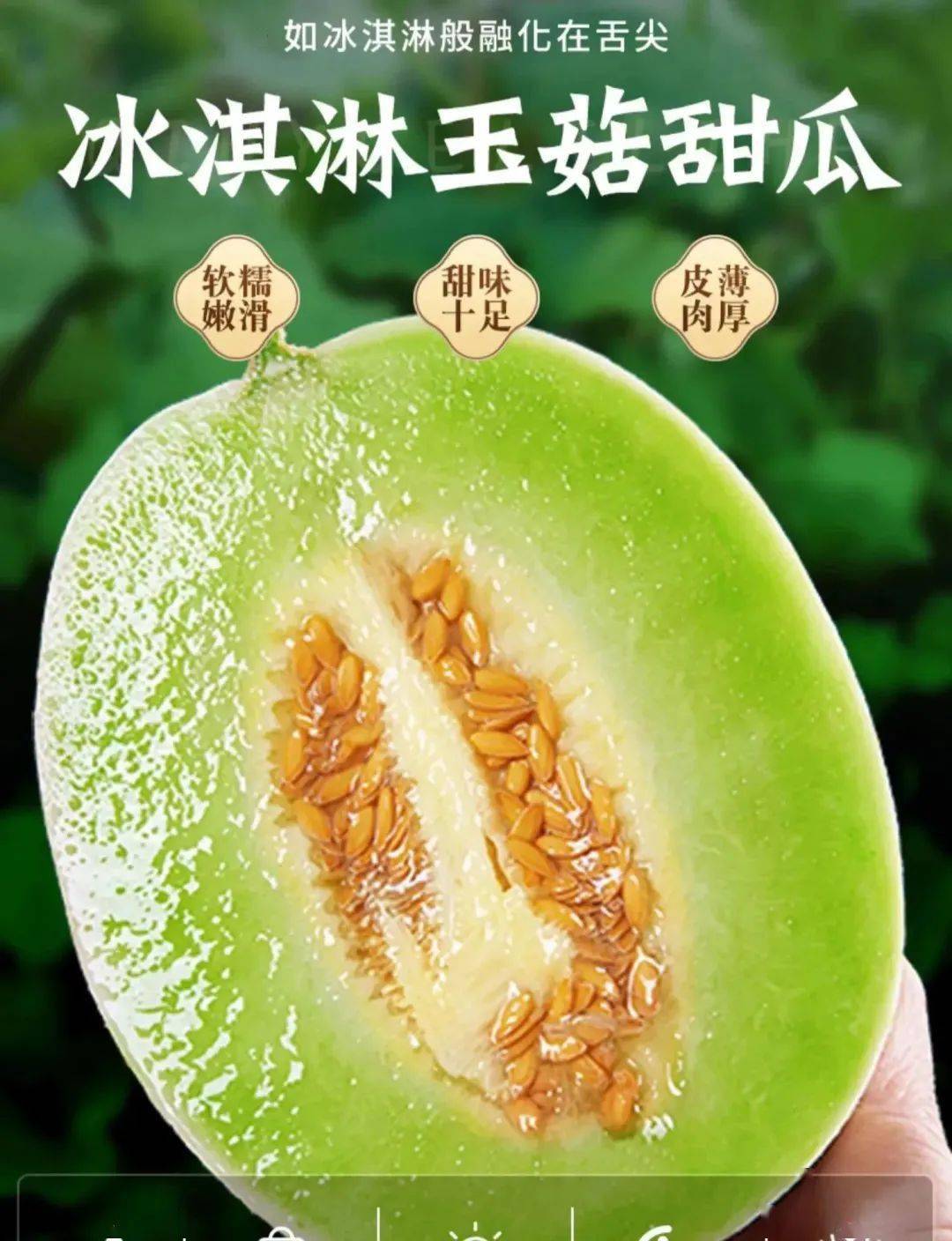 【玉菇甜瓜】香甜軟糯,擁有