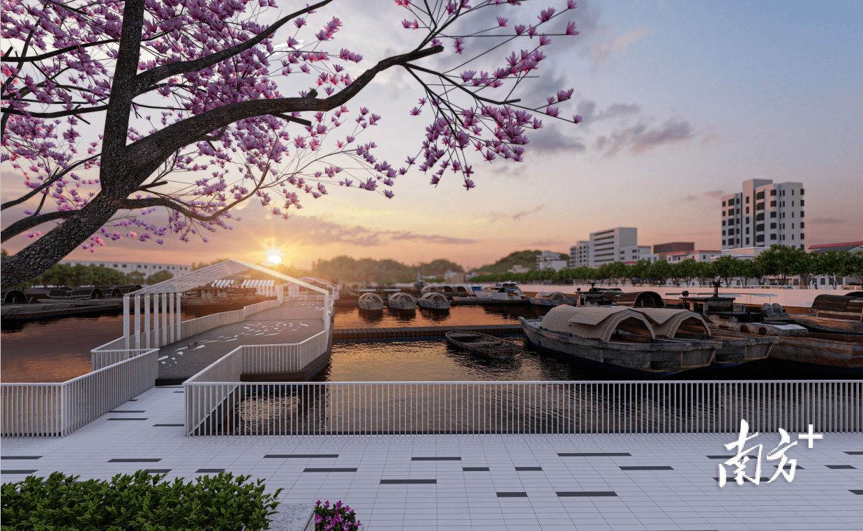 虎门新湾渔港将大变样_改造_码头_社区