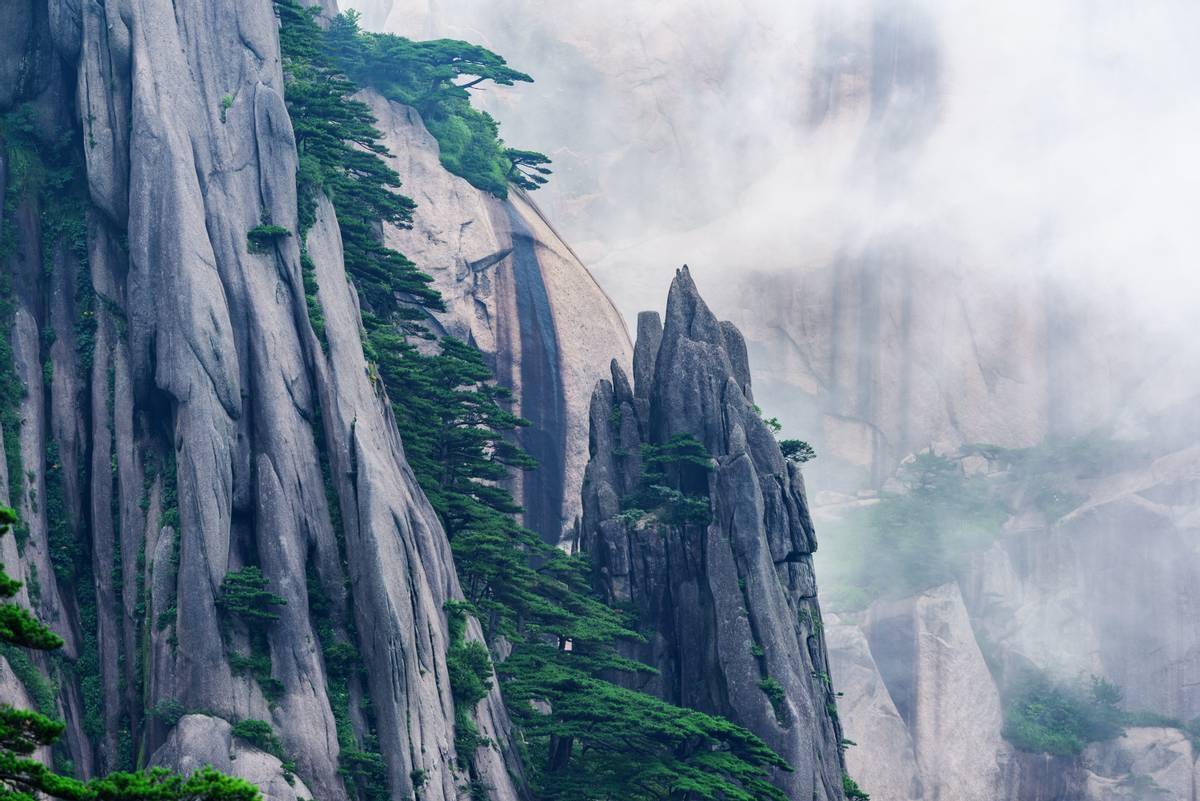 相约安徽·向春而行 | 黄山风景区到了最美的季节,除了云海还有花海