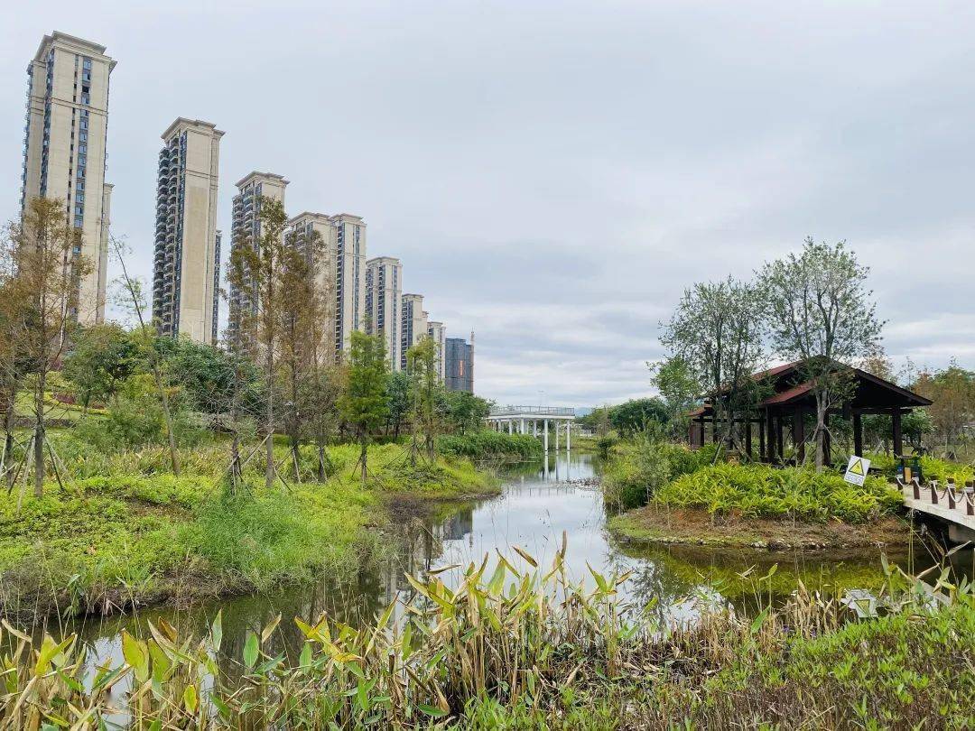 為理念城市休閒濱水景觀帶構成我市一道靚麗的與對岸武榮公園隔江相望