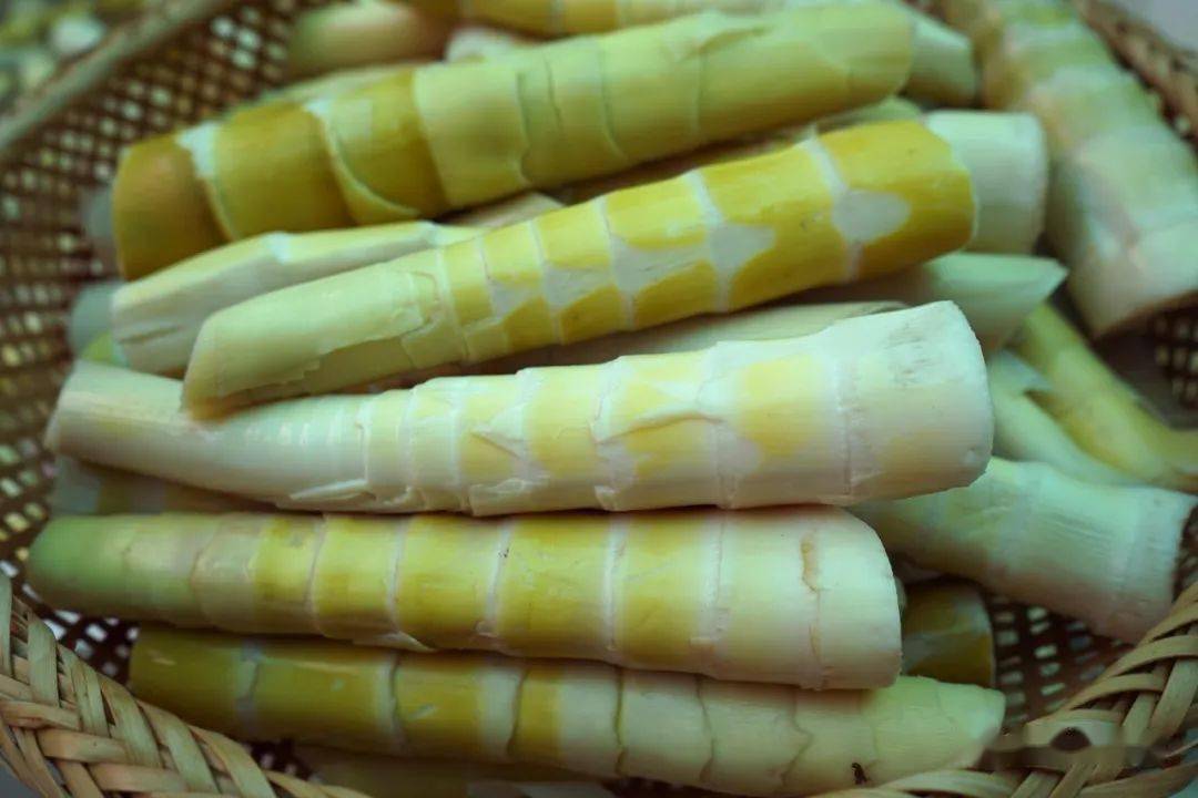 怀集蓝钟"苦赖笋"大量上市,口感清爽,味道鲜美~_益农_蓝钟镇_美味