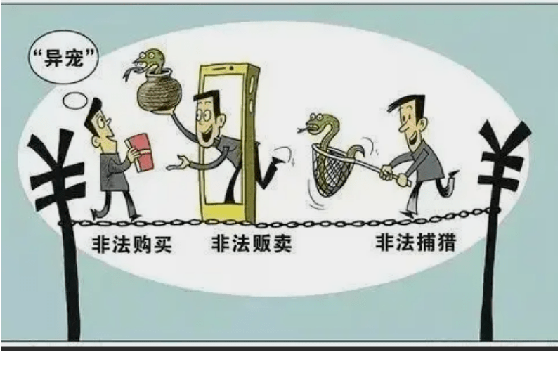 视频交易犯法吗