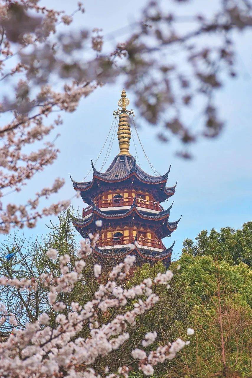 南京的春天,带着花香的古韵_美得_鸡鸣寺_雨花台
